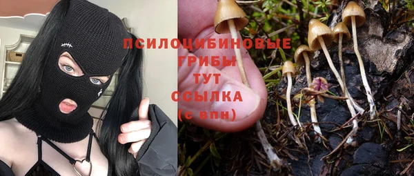 мескалин Абаза