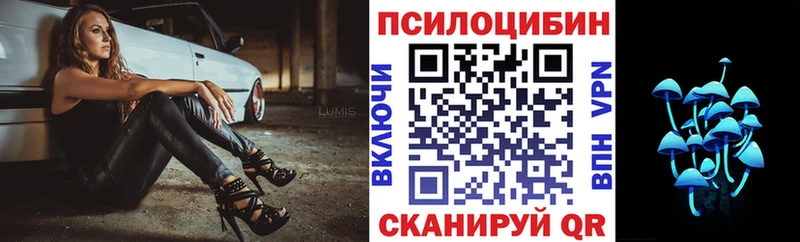 где купить наркоту  кракен сайт  Галлюциногенные грибы мицелий  Севастополь 
