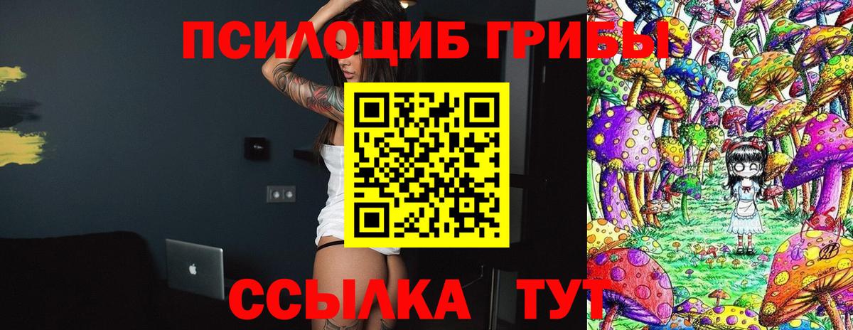 Псилоцибиновые грибы мицелий Севастополь